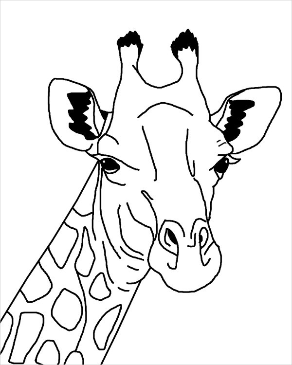 600x750 Giraffe Drawings