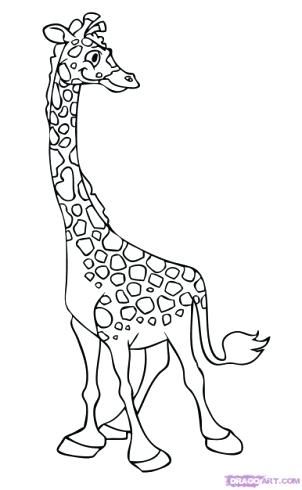 302x490 Giraffe Drawing Zoom Cute Giraffe Drawing Tumblr Affan
