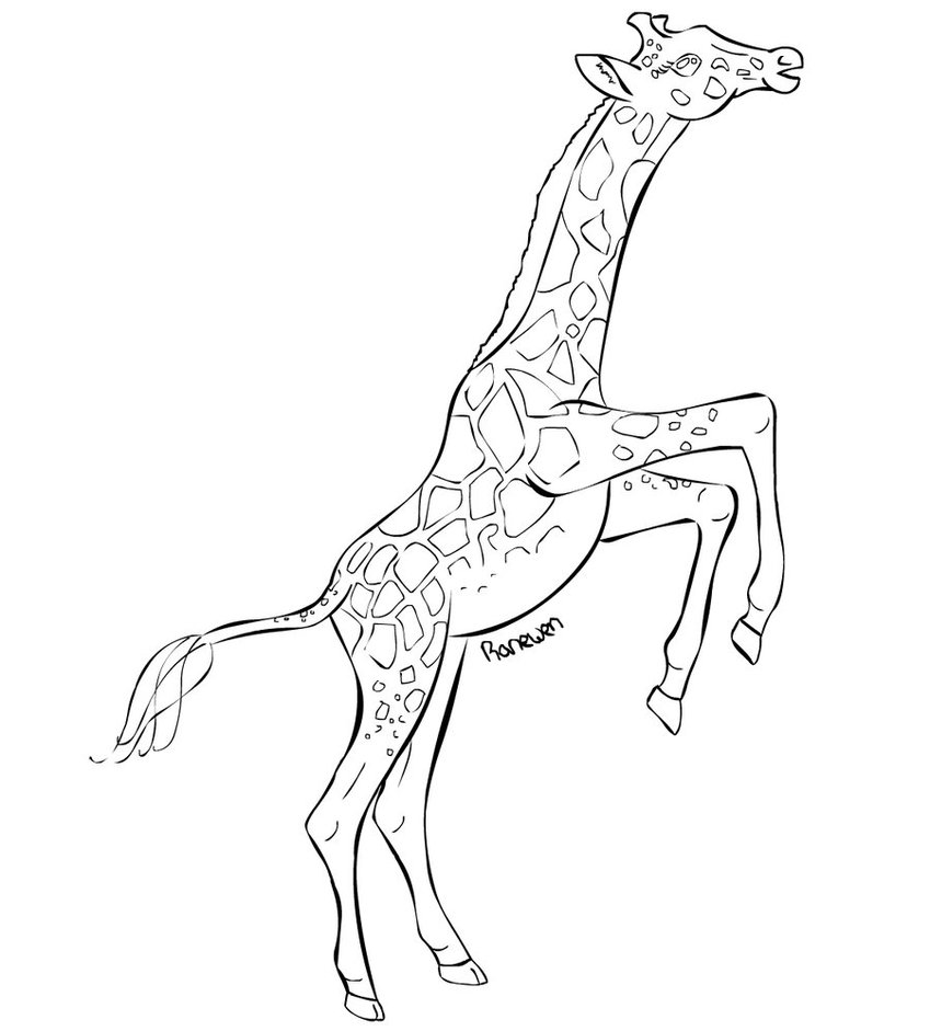 849x941 Giraffe Lineart By Ranewen