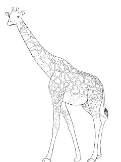 240x320 Pictures Line Drawing Giraffe,