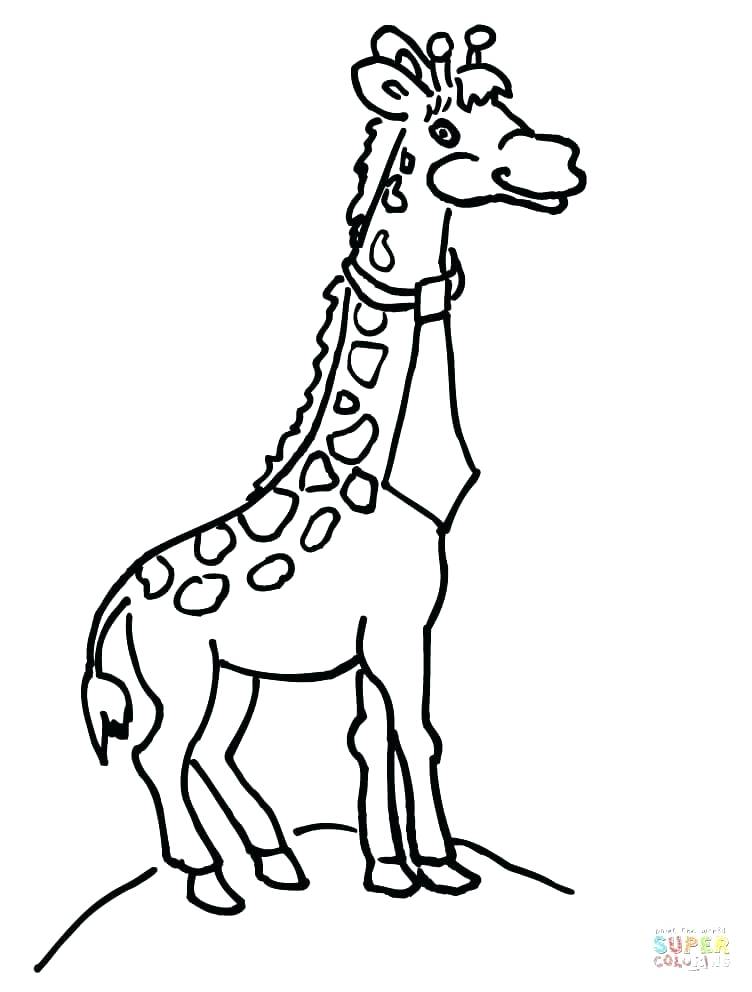 752x992 Baby Giraffe Coloring Pages Also Download Free Baby Giraffe