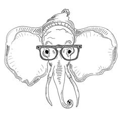 236x228 Drawn Hipster Animal