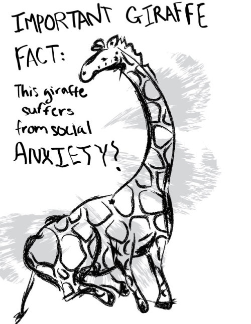 500x647 Awkward Giraffe Tumblr