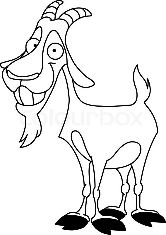 567x800 Outlined Billy Goat Stock Vector Colourbox