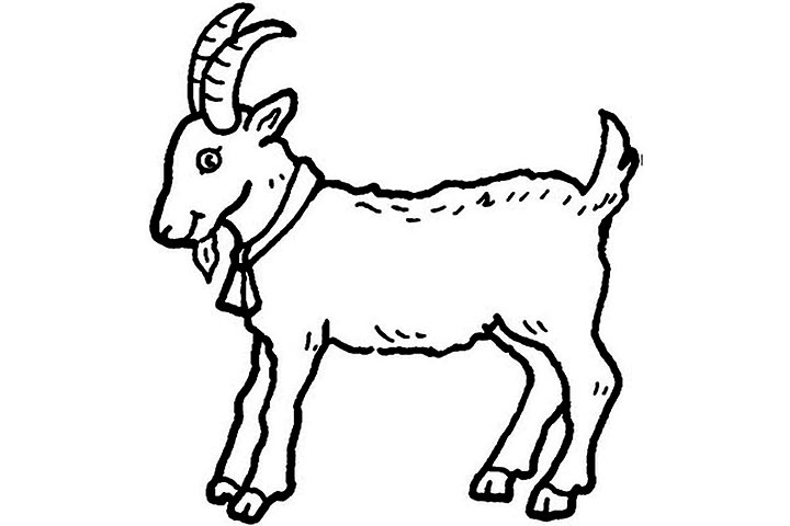 720x480 Pictures Of Animals Coloring Kids Goat The Farm Animal Coloring Pages