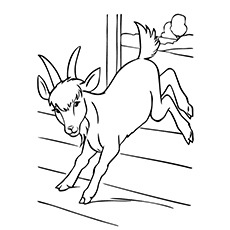 230x230 Top 25 Free Printable Goat Coloring Pages Online