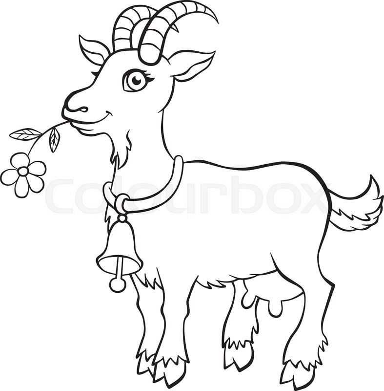 787x800 Coloring Pages.nimals. Little Cute Goat Standsnd Holds