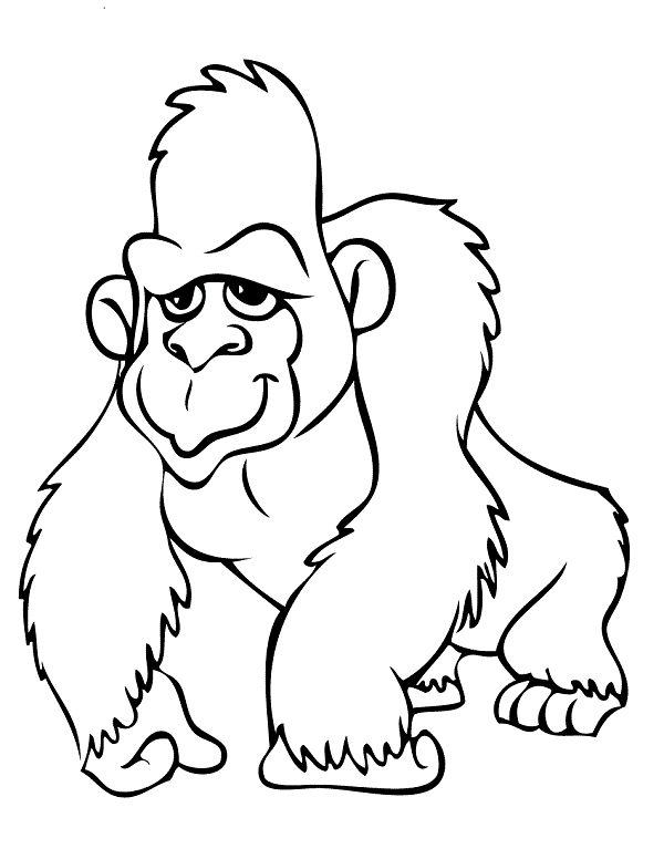 600x776 Gorilla Coloring Pages Clipart Panda