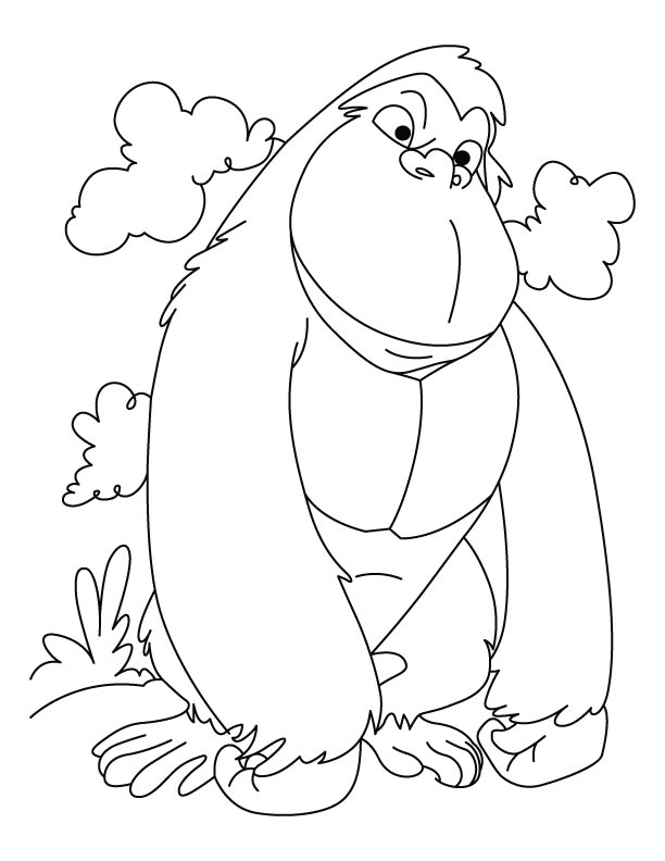 612x792 Amusing Gorilla Coloring Pages 73 For Your Line Drawings