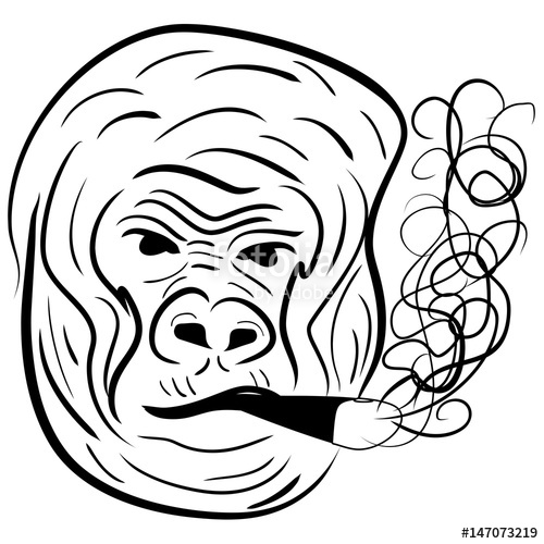 500x500 Gorilla Portrait