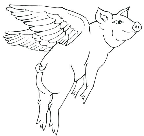 500x473 Baby Pig Coloring Pages New Pigs Coloring Pages Image Baby Pig