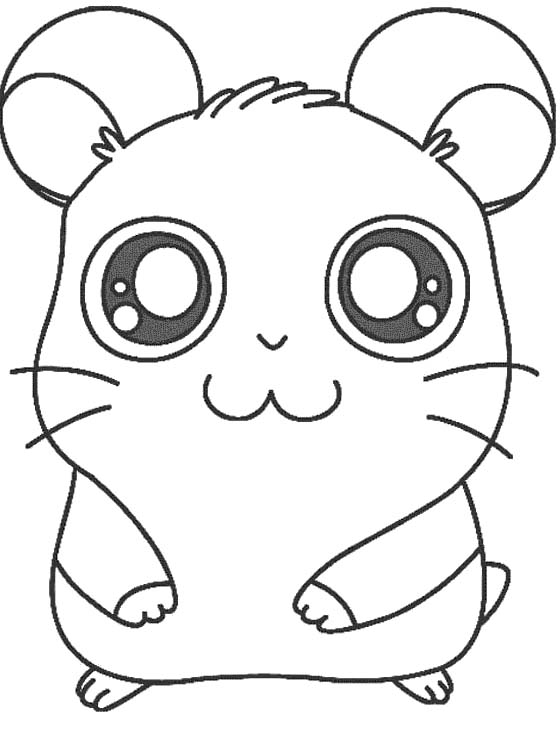 Cute Hamster Drawing at GetDrawings | Free download