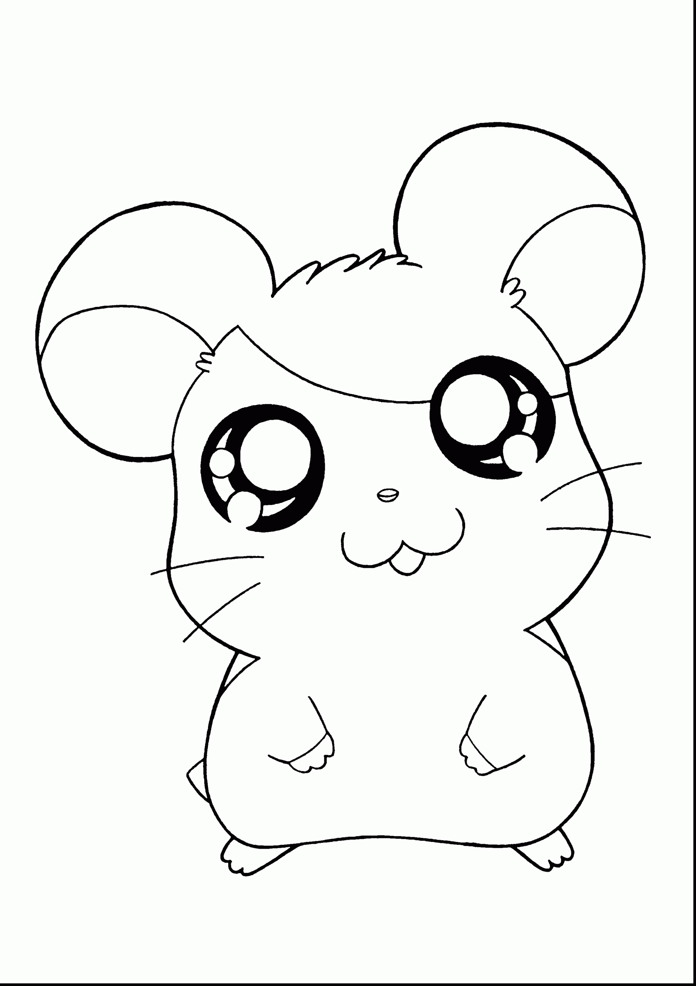 2640x3740 Hamster Coloring Pages