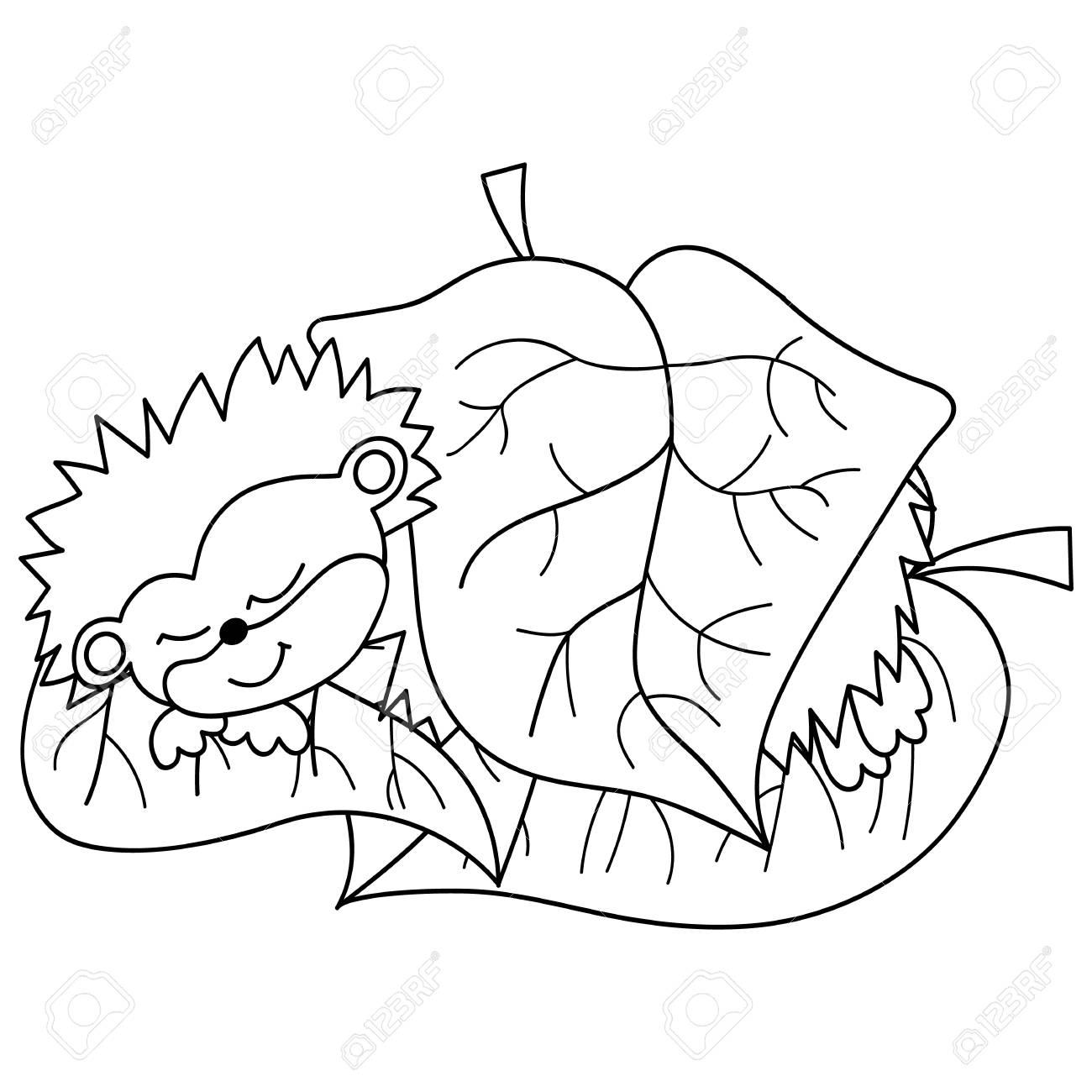 1300x1300 Vector Black And White Cute Hedgehog Sleeping Under The Leaf