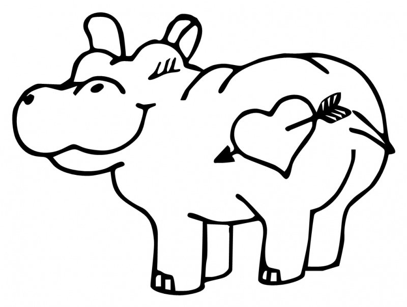 800x604 Cute Hippo Drawing Quilting