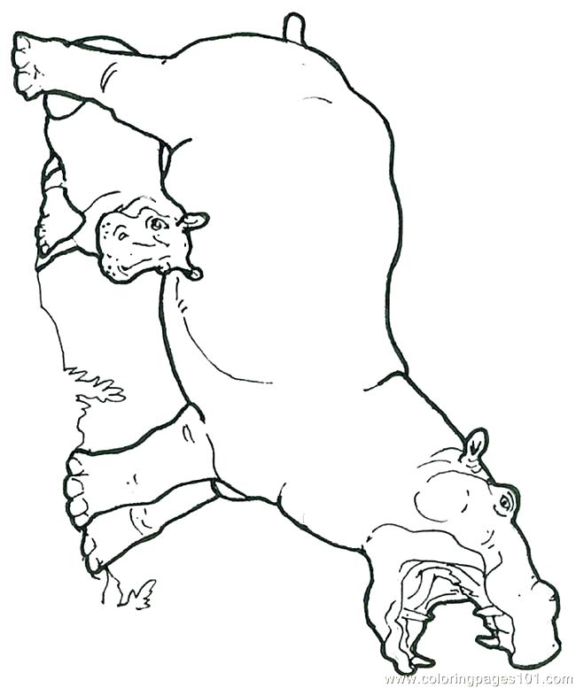 650x777 Hippopotamus Coloring Page Cute Baby Hippo Coloring Pages