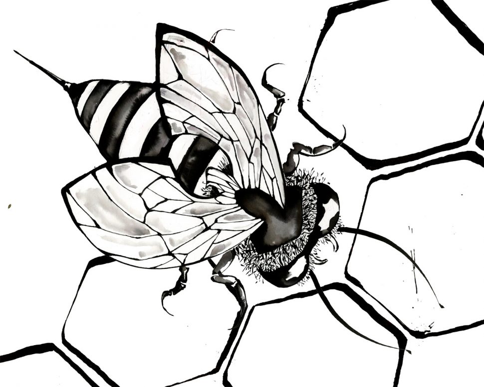 970x777 Coloring Pages Nice Coloring Pages Draw A Bee Ideal Honey