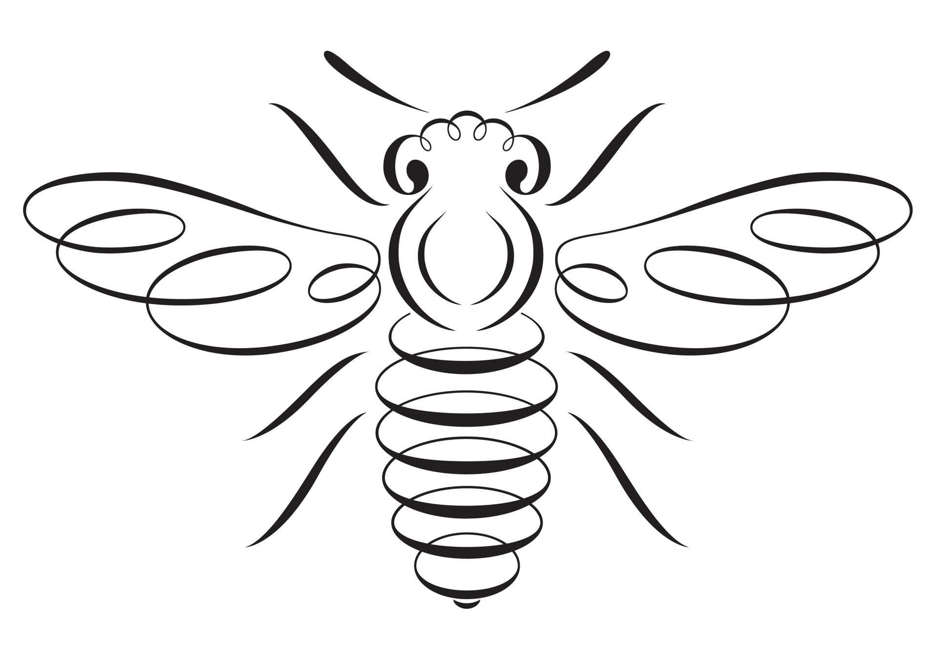 1920x1358 Is It A Bee Or Maybe A Moth Love The Simplicity