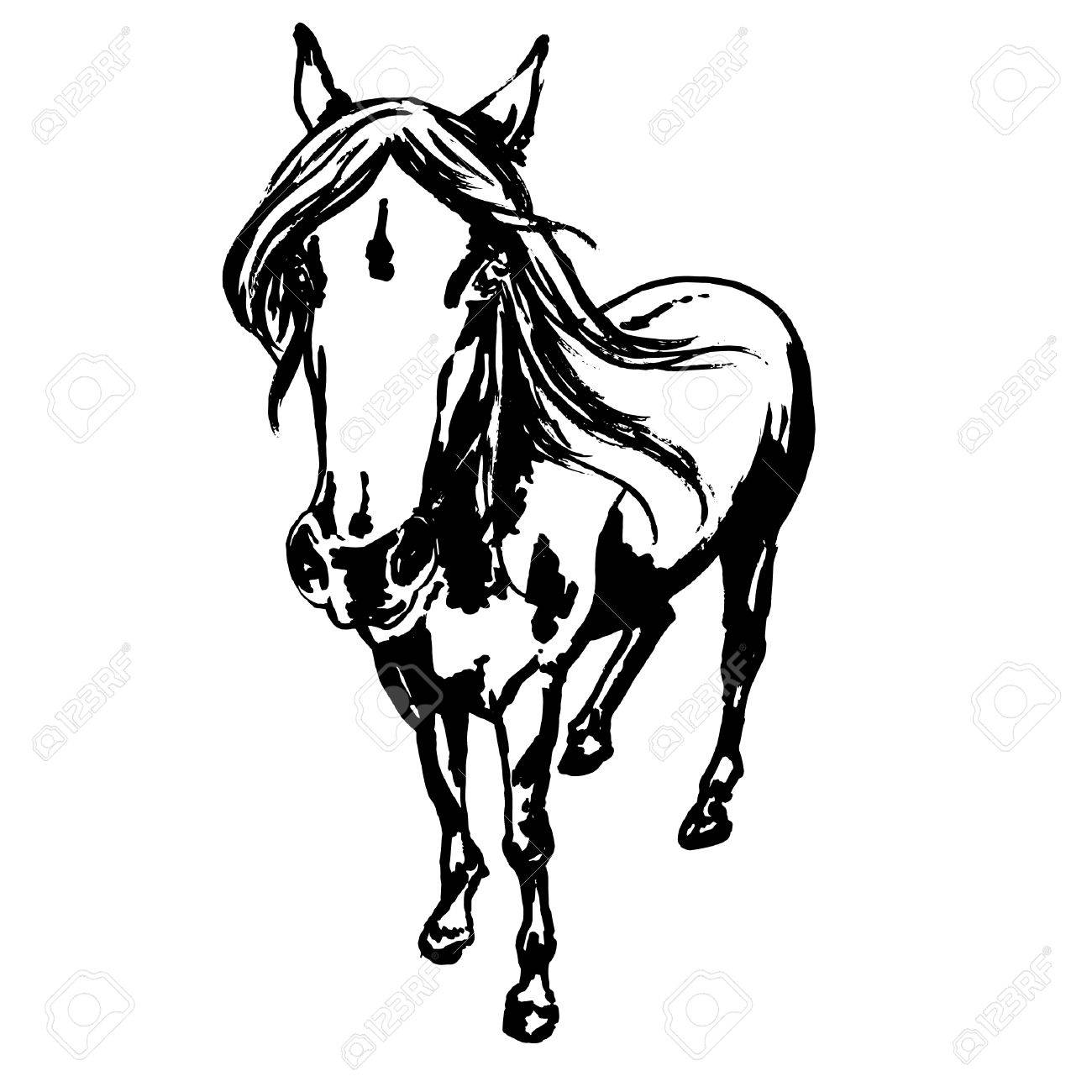 1300x1300 Cute Horse Portrait, Ink Painted Illustration Of Beautiful