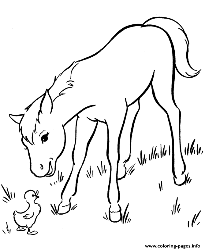 670x820 Cute Horse S517b Coloring Pages Printable