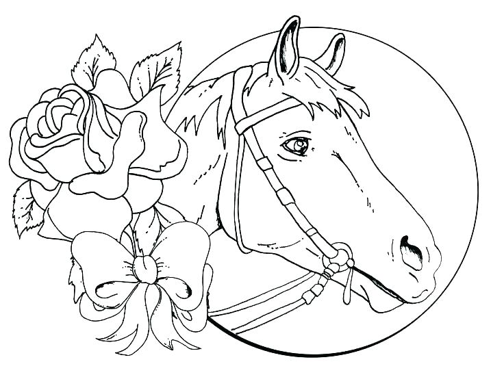 736x551 Horses Coloring Page Horse Coloring Pages Horse Coloring Sheets