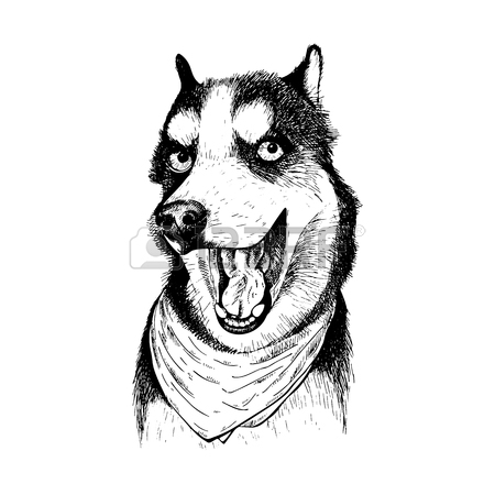 450x450 Congratulation Card With Three Funny Husky Dogs, Number 2018