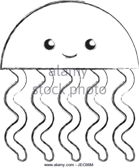 445x540 Medusa Jellyfish Black And White Stock Photos Amp Images