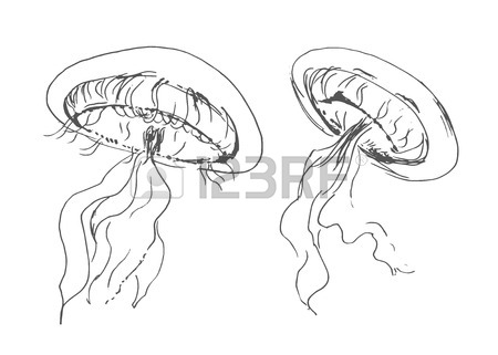 450x321 Cute Jellyfish Cartoon Sea Animal Vector Illustration. Sea Animal