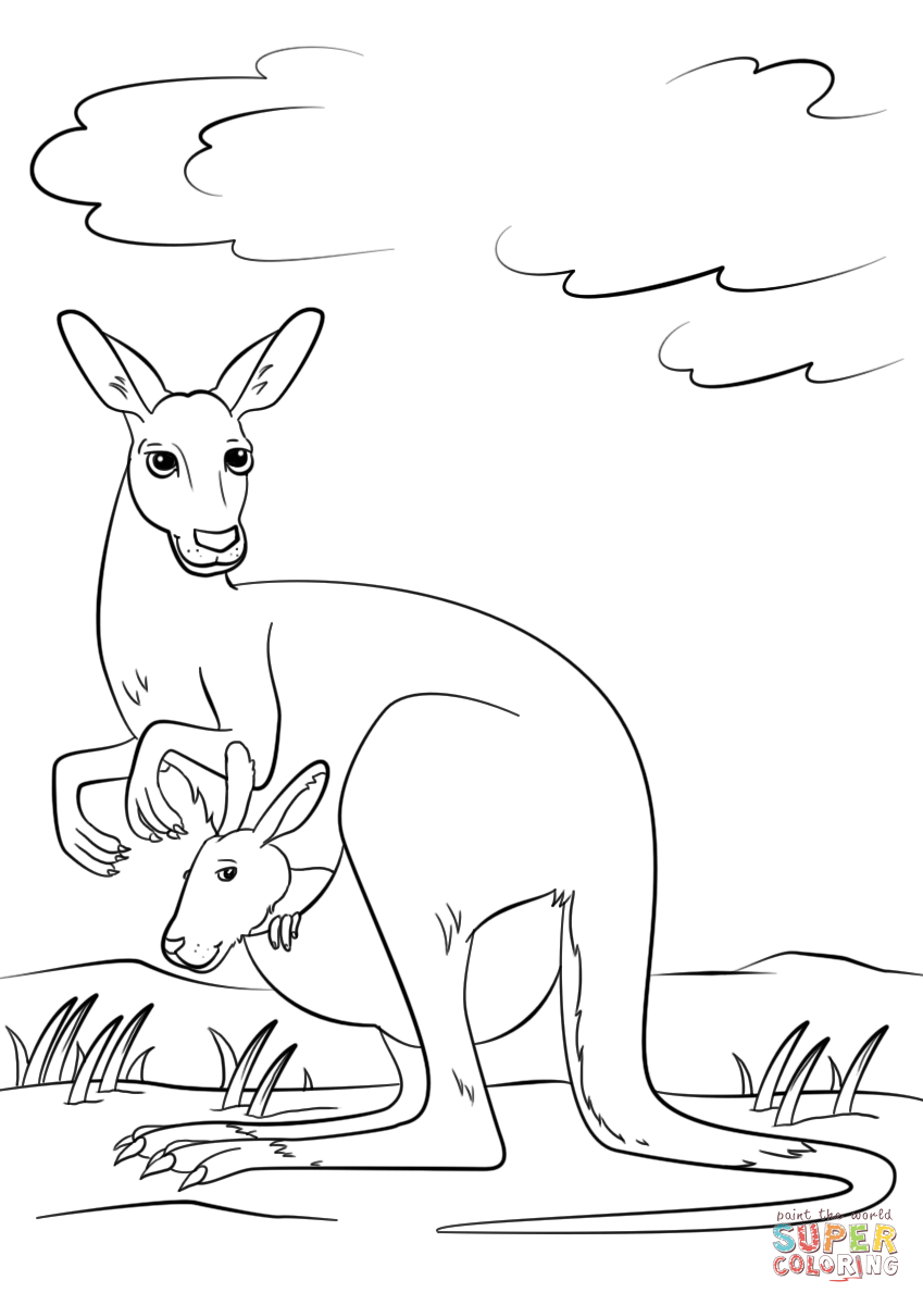 849x1200 Cute Kangaroo With Baby In Pouch Coloring Page Free Printable