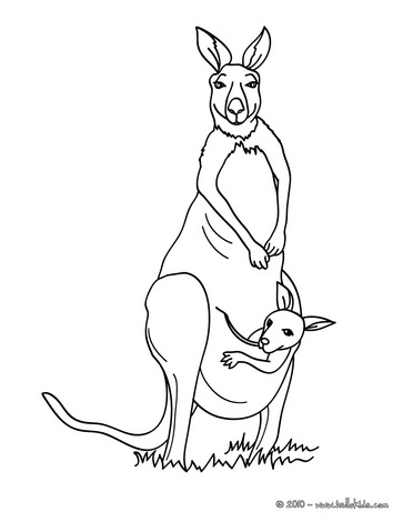 363x470 Kangaroo Pictures To Color Funny Animal