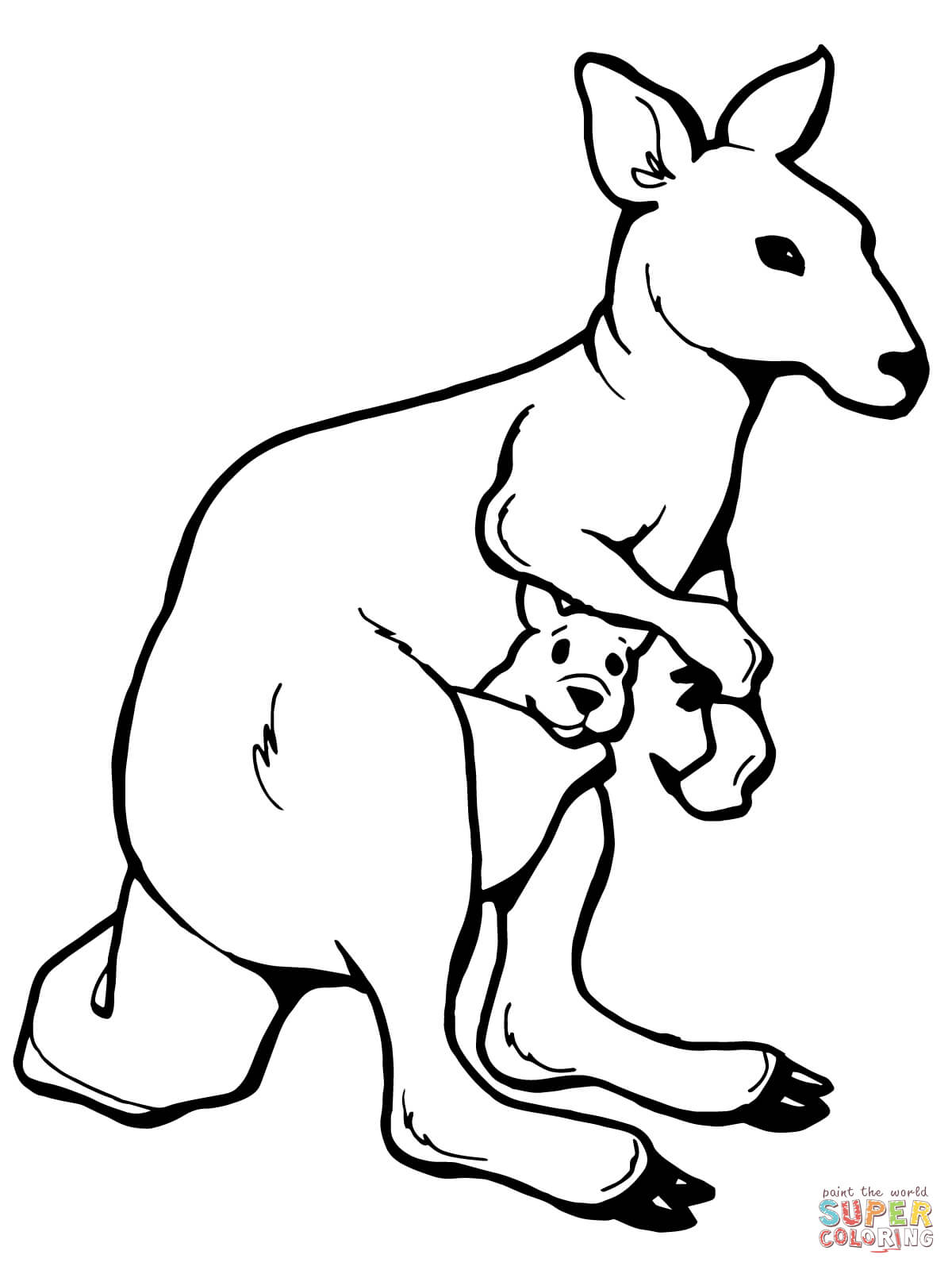 1200x1600 Kangaroos Coloring Pages Free Coloring Pages