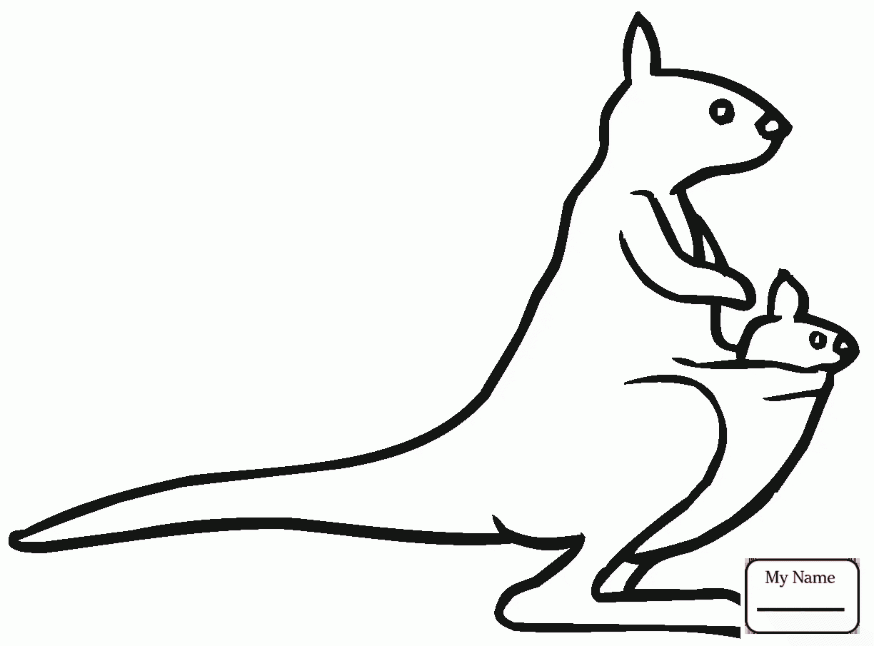 1224x905 Coloring Pages Antilopine Kangaroo Mammals Kangaroos