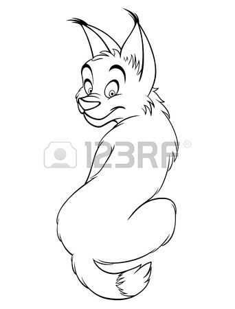 342x450 Cartoon Bobcat Lynx Cute Kitten Vector Illustration Drawing