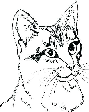 313x395 Kitten Coloring Pages Cute Kitten Coloring Pages Printable To Good