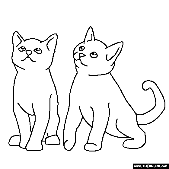 560x560 Two Kittens Coloring Page