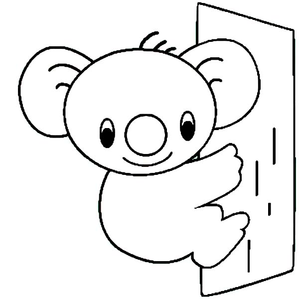 600x600 Cute Koala Bear Coloring Page Color Luna