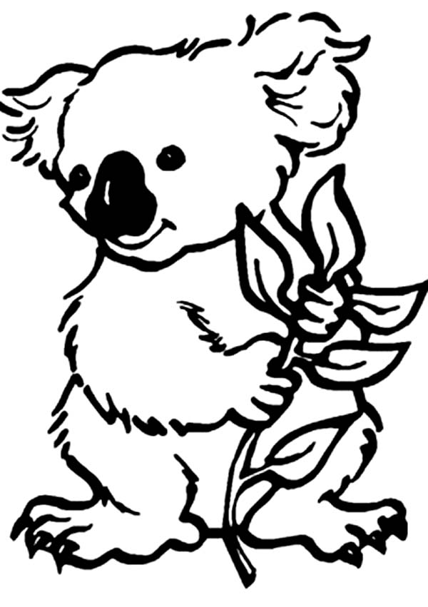 600x851 Koala Bear Coloring Page Color Luna
