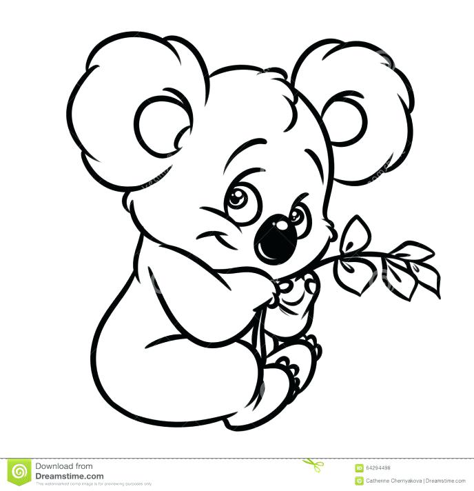 688x712 Top Rated Koala Coloring Pages Images Cute Koala Cute Koala