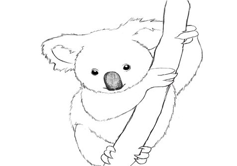 Cute Koala Drawing at GetDrawings | Free download