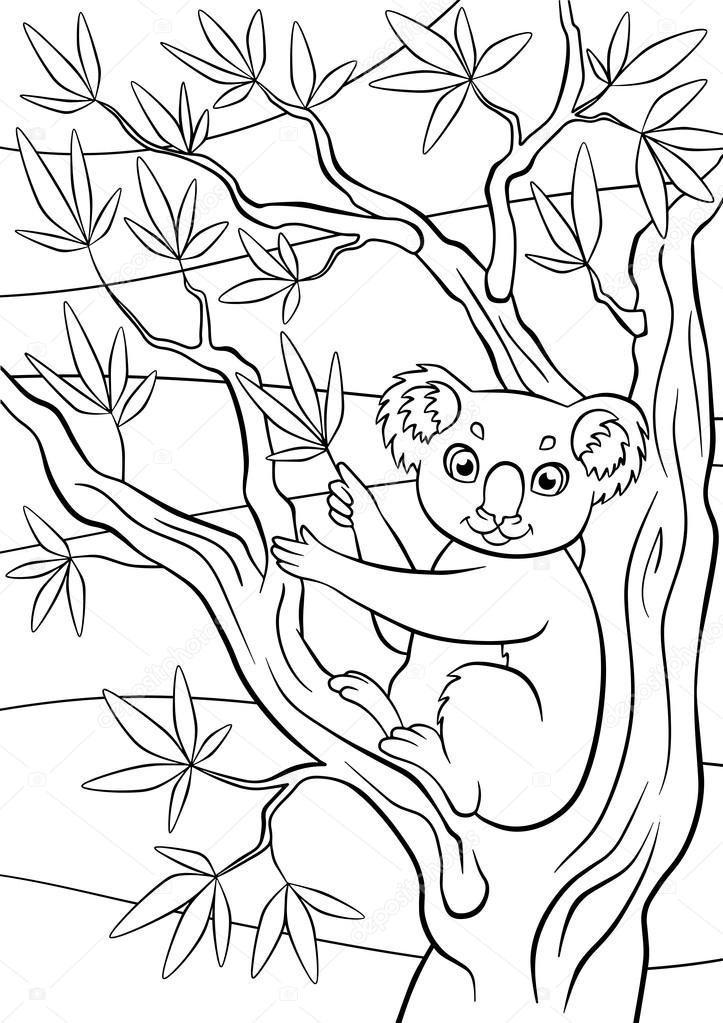 723x1023 Little Cute Koala Sits On The Tree And Holds Eucalyptus. Stock