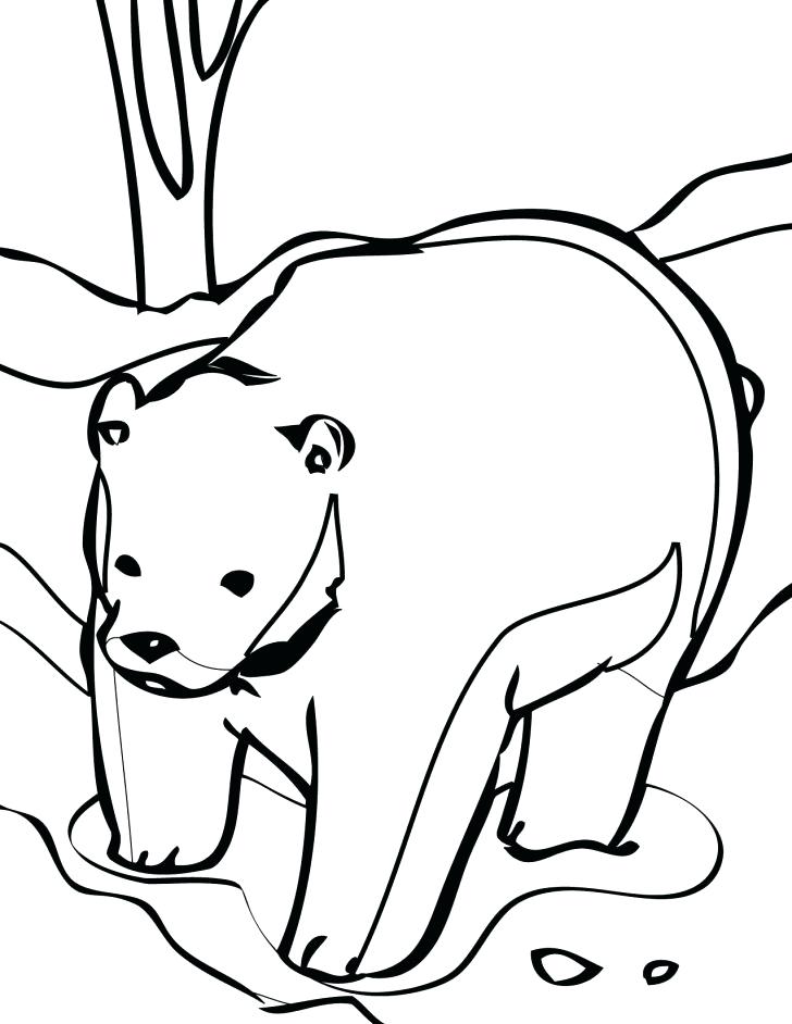 728x942 This Is Koala Bear Coloring Page Pictures Printable Bear Coloring