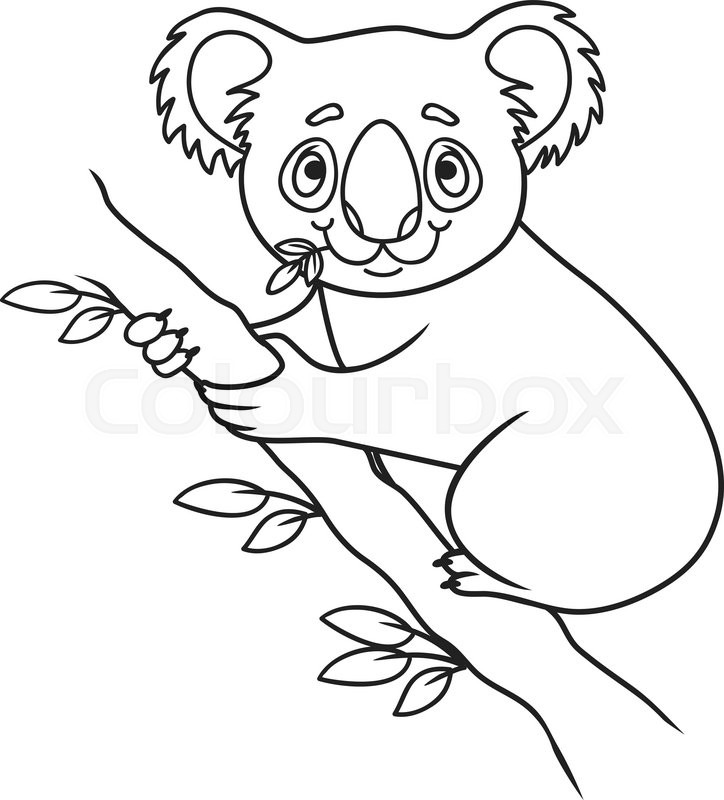 724x800 Cartoon Koala. Coloring Book. Vector Illustration Of Cute Animal