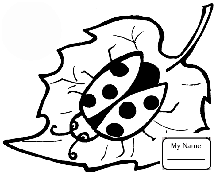 704x567 Coloring Pages Cute Ladybug Insects Ladybug