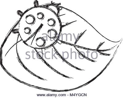 400x320 Cute Ladybug In Leaf Natural Wildlife Animal Stock Vector Art