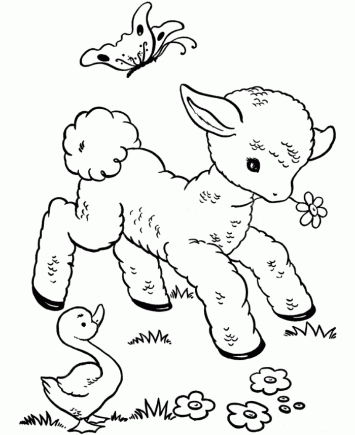 700x856 Lamb Coloring Page Preschoolers Coloring Page For Kids