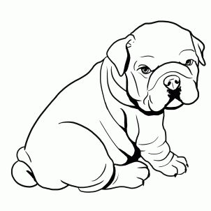 302x302 How To Draw A Bulldog, English Bulldog Step 4 Drawing Lips