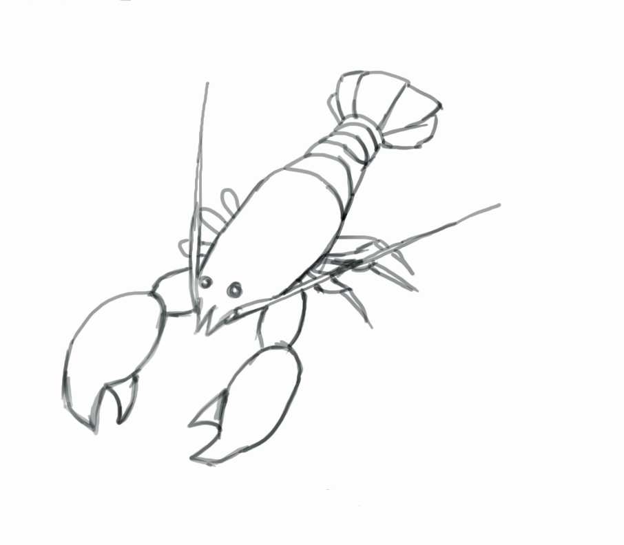 906x792 Lobster