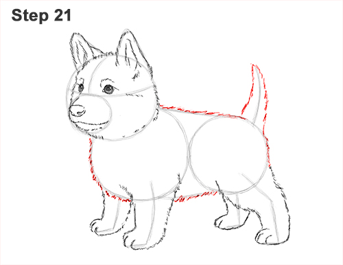 500x386 How To Draw A Puppy (German Shepherd)