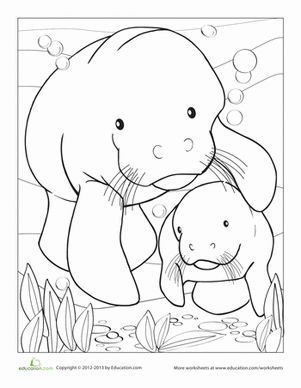 301x388 Sea Otter Coloring Page. Nature Coloring Pages The Magnificent