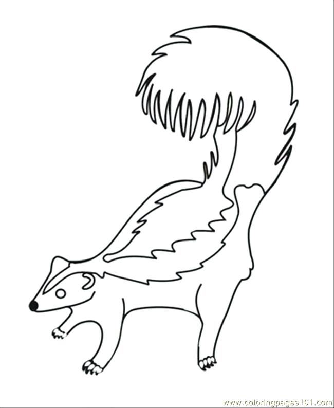 650x794 Skunk Coloring Page Interesting Idea Reindeer Coloring Pages Free